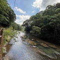 不思議な道に遭遇