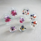 『支援事例<サンカさん>敬老の日むけ・山形県産りんどうのボトルフラワー発売』の画像