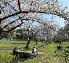 お花見＆フィッシング‼︎