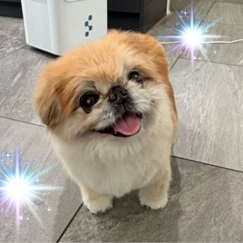 吹っ飛ぶ