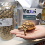 ペットショップふじやのブログ