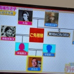 風に吹かれて彡 　カシス☆