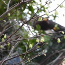 水曜日陶芸教室