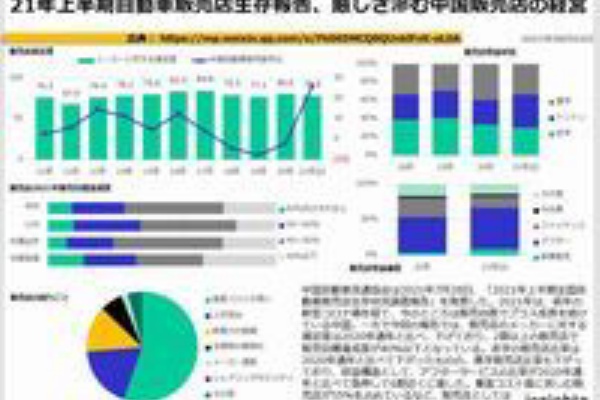 China Case 中国自動車販売店