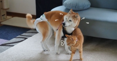 まる子のペース