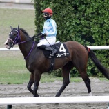 『5月の優勝馬🏆 part1』の画像