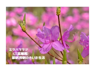 暦‐2026年5月1日