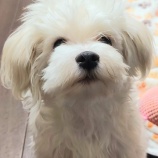 『まったりな日々』の画像