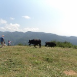 『佐渡を歩こう会(その8)~平城畑登山』の画像