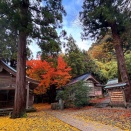 白山　金剱宮（きんけんぐう）で紅葉の絨毯を歩く
