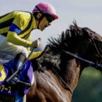 BOSS猿のアナログ肉眼競馬