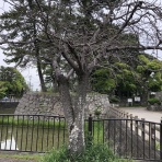 三重県よろずや