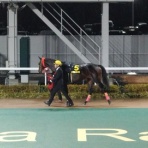 がんばれ！ホッカイドウ競馬　.blog