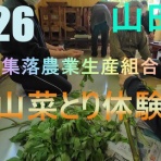 山田町に来るとこんなことできます！
