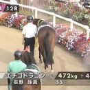 ごめんなさい。🐴