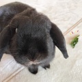 何を言うかと思えば。