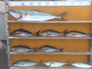 　　　　　　　　２０２５年11月24日