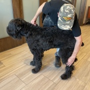 ���򴵤ä��ͤΤ����