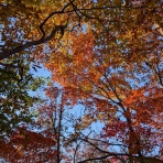 ニイガタAL12 / JJ0VZCのブログ