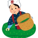 【世界的ブームで抹茶不足が深刻化】伊藤園が価格を最大2倍に値上げ…茶会用4536円に…高齢化・栽培面積縮小で需給バランスが課題
