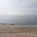 少しだけ竿を振りました