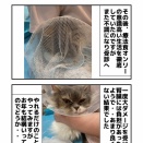 通院、通院、通院・・・