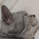 穏やかなムツキ