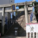 9179　大歳神社の大鳥居(山口県下関市竹崎町1-13-10・大歳神社)