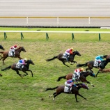 『タンク将軍「馬主席で競馬観戦レポート」公開記念』の画像