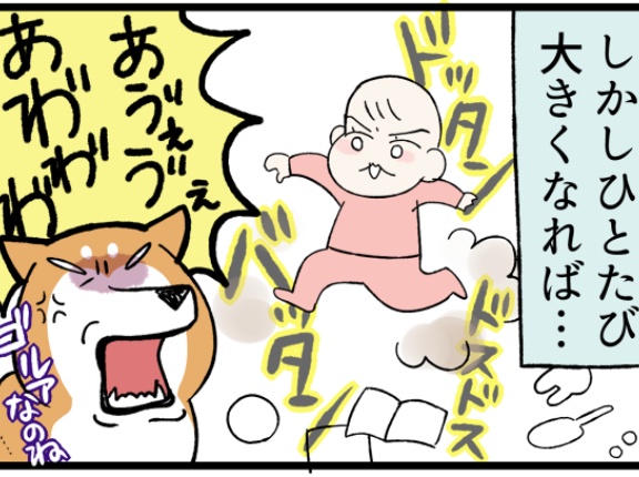 子供が生まれて愛犬の知らなかった一面を知った話