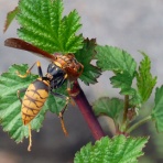 mimokasagoの「晴れの国」暮らし