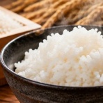お料理速報