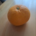 サンフルーツ最後のひとつ