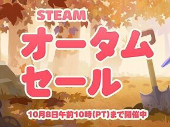 Steamでおまえらなんか買わないの？