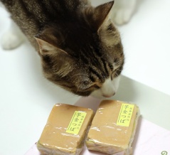 秋の菓子と猫。
