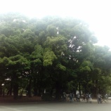 『ダイバーシティ（diversity/多様性）（２）』の画像