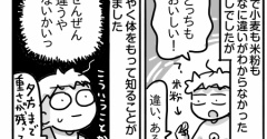 そうまのグルテンフリー生活㉓【米粉と小麦粉の違い】