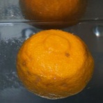 IDDM  58歳、ある日突然１型糖尿病になりました。が…