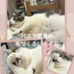 Jam Home エステート・Petite Jam(プチ ジャム) スタッフブログ