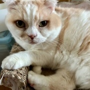 1日に2回、獣医さんへ行きました