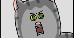 猫にもフレネミーいたわ