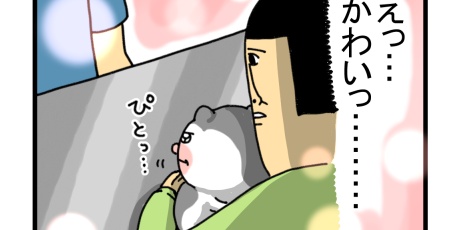 まめきちまめこニートの日常 - ペット Powered by ライブドアブログ