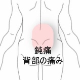『高所作業後の背中の痛みで側臥位がとれない　登別室蘭すのさき鍼灸整骨院　症例報告　』の画像