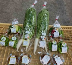 野菜・原木しいたけ・原木なめこ収穫＆出荷