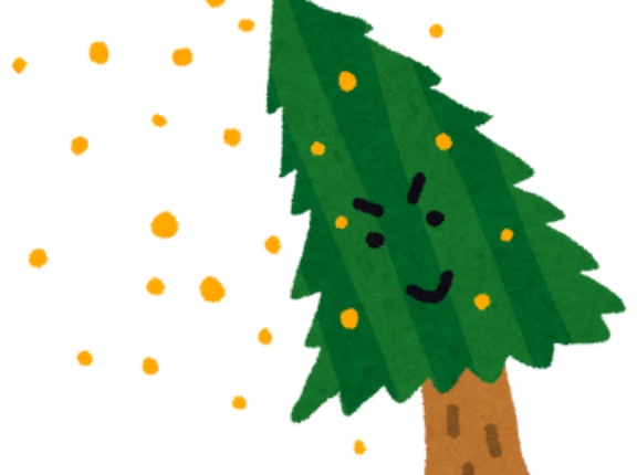 エイベックス松浦会長「杉を全部切れば花粉症は無くなるのに、国は一体何をやってるの？」