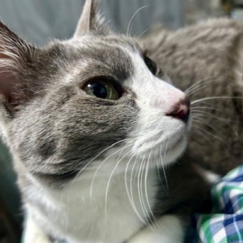 東京の桐ヶ谷斎場に行ってきました