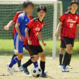 『クラッキフォト20250504』の画像