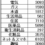 下流のお一人様家計簿blog☆彡