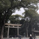 恒例の明治神宮参拝です