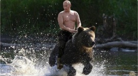 ロシアの気象観測所をホッキョクグマ10頭が包囲、犬2人が殺される